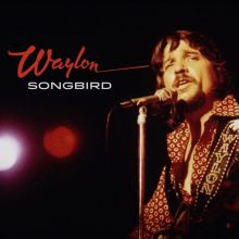 Album cover for Songbird